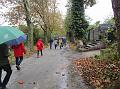 Herfstwandeling (5)